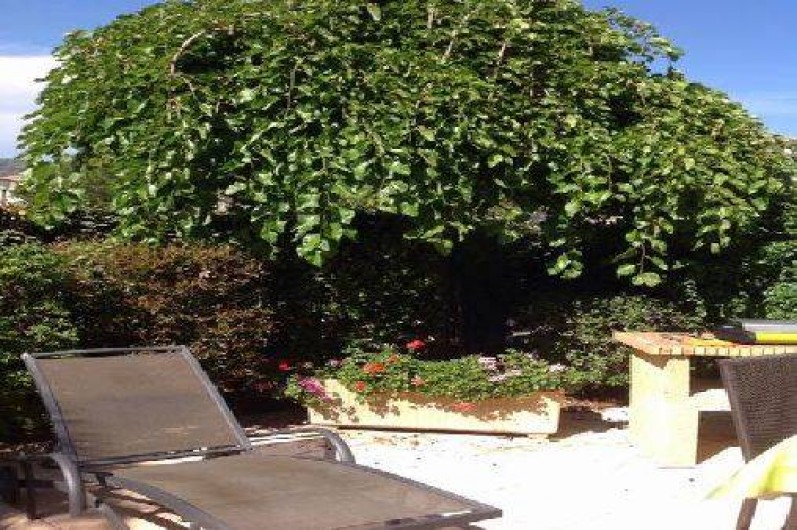 Location de vacances - Mas à Le Lavandou