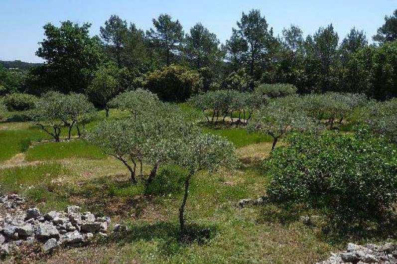 Location de vacances - Mas à Cotignac