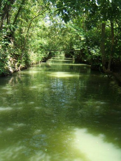 Location de vacances - Chambre d'hôtes à Bouillé-Courdault