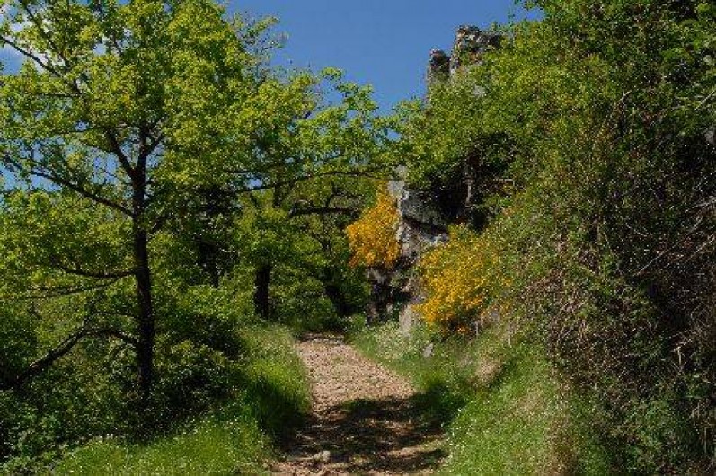 Location de vacances - Gîte à Moyrazès
