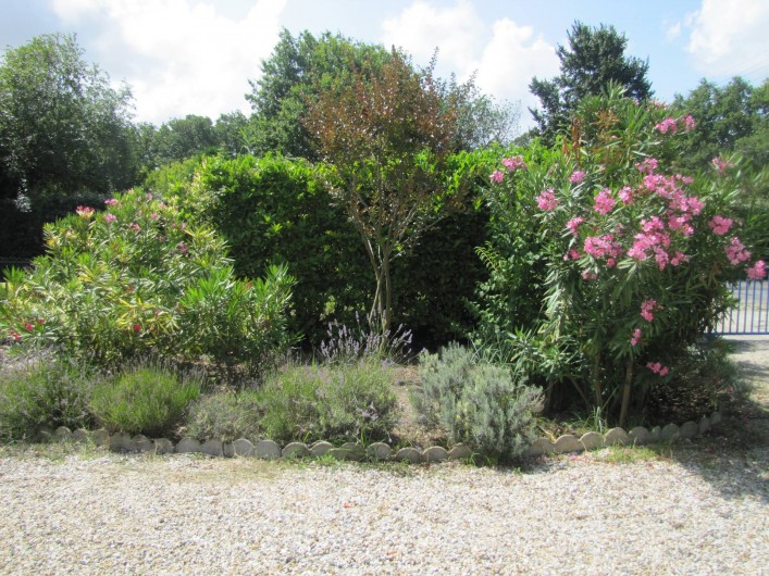 Location de vacances - Villa à Soulac-sur-Mer - Massif