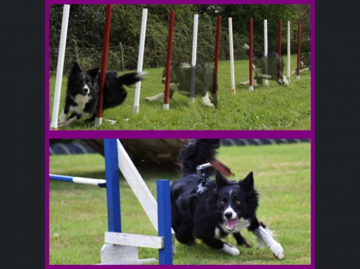 Location de vacances - Maison - Villa à Nivillac - Haiyla sur le cours d'agilité