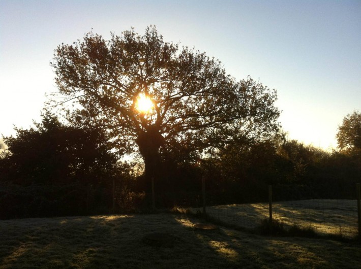 Location de vacances - Maison - Villa à Nivillac - Une matinée d'hiver à La Belle Vilaine.