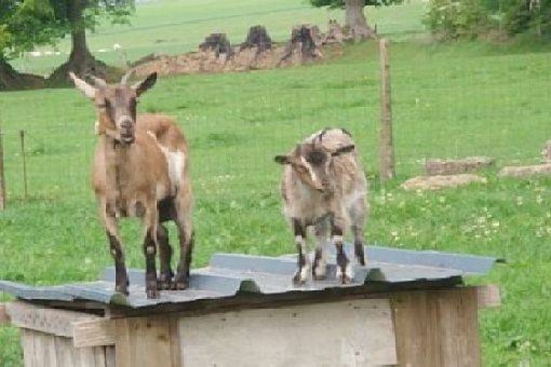 Location de vacances - Gîte à Vibeuf