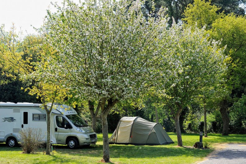Location de vacances - Camping à Sarzeau
