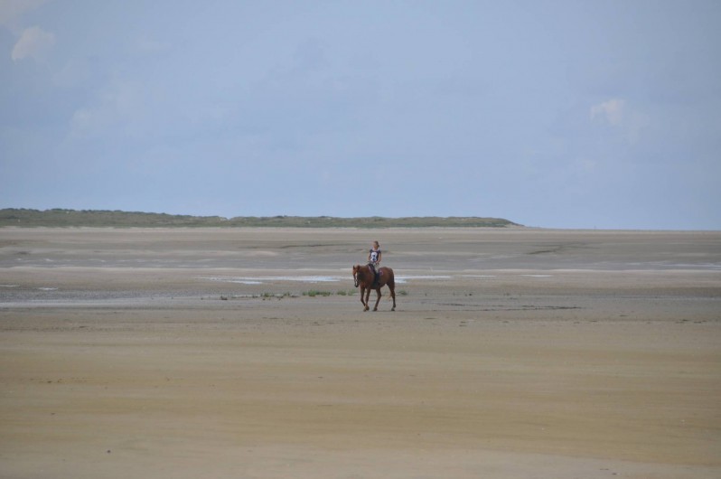 Location de vacances - Appartement à Hardelot-Plage