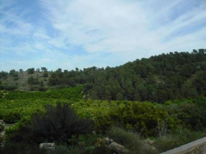 Location de vacances - Appartement à Carcaixent - Vue balcon 2