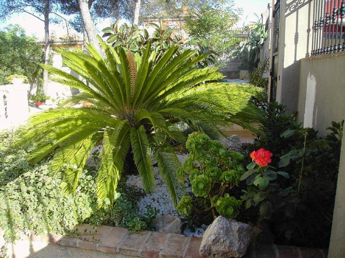 Location de vacances - Appartement à Carcaixent - Entrée