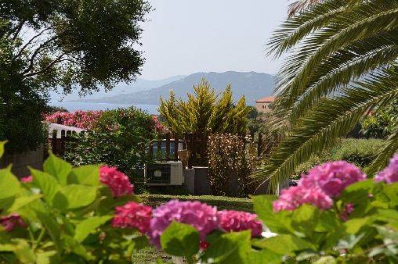 Location de vacances - Appartement à Propriano