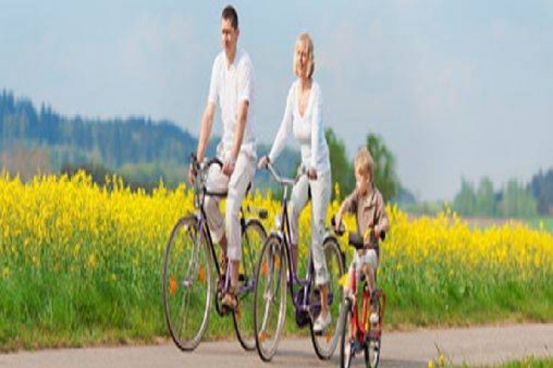 Location de vacances - Gîte à Marmande