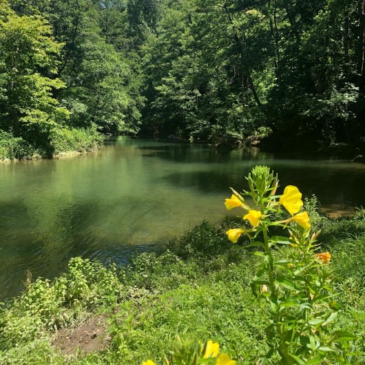 Location de vacances - Gîte à Branoux-les-Taillades - Le Gardon au bord de la propriété pour pêcher et se baigner