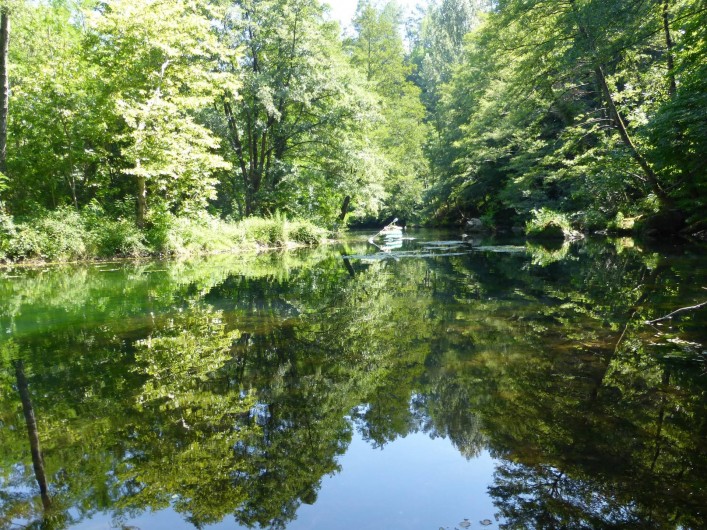 Location de vacances - Gîte à Branoux-les-Taillades - Le Gardon à bord du parc du Château ou vous pouvez pecher et se baigner