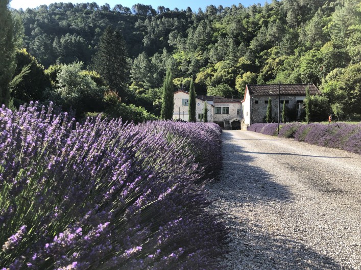 Location de vacances - Gîte à Branoux-les-Taillades