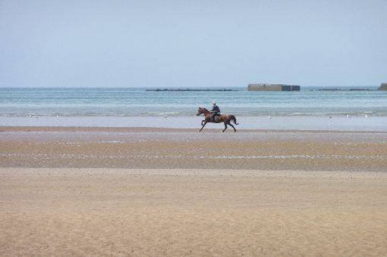 Location de vacances - Maison - Villa à Asnelles