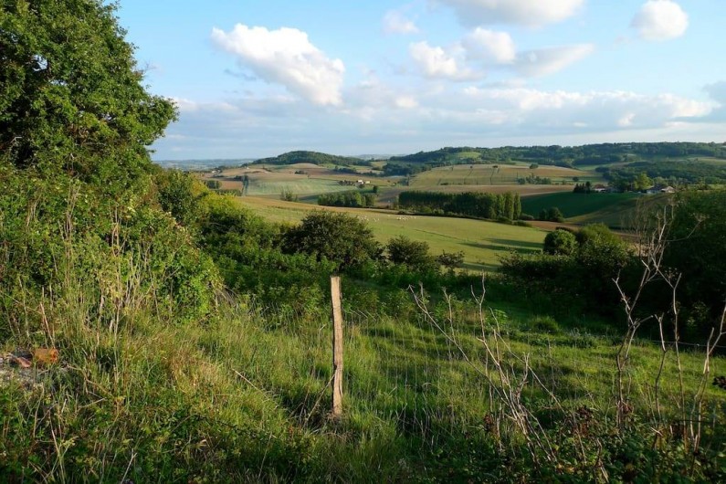 Location de vacances - Gîte à Grateloup-Saint-Gayrand