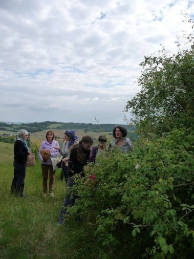 Location de vacances - Gîte à Grateloup-Saint-Gayrand