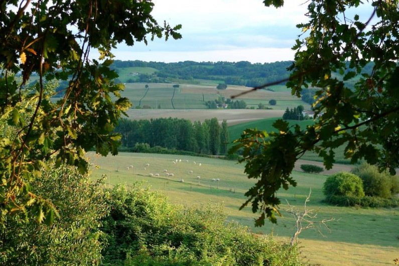 Location de vacances - Gîte à Grateloup-Saint-Gayrand