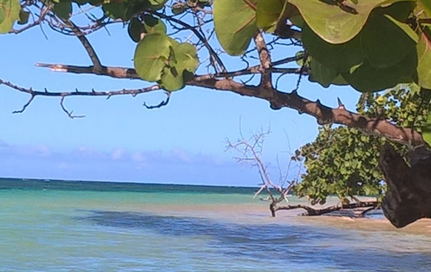 Location de vacances - Appartement à Las Terrenas