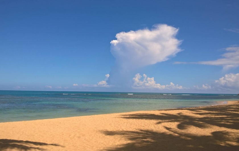 Location de vacances - Appartement à Las Terrenas