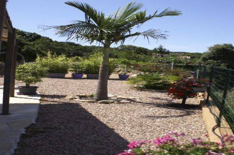 Location de vacances - Gîte à Portigliolo