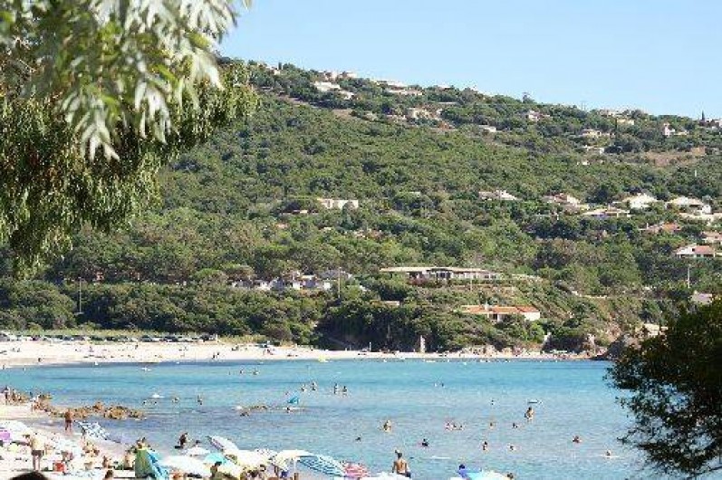 Location de vacances - Gîte à Portigliolo