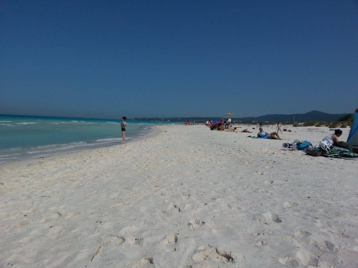 Location de vacances - Appartement à Cecina - la plage publique