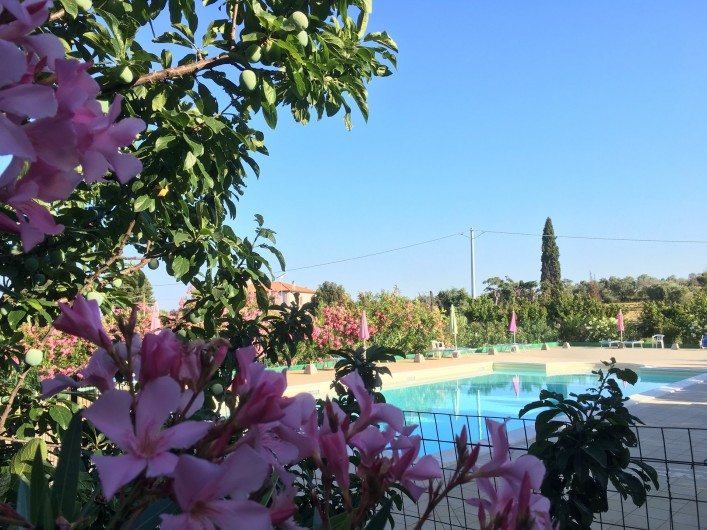 Location de vacances - Appartement à Cecina