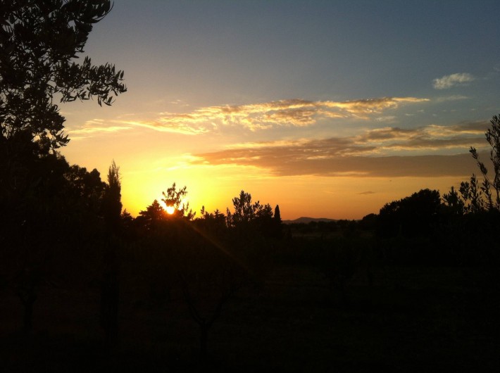 Location de vacances - Appartement à Cecina - Coucher de soleil pres de Civetta et Tasso