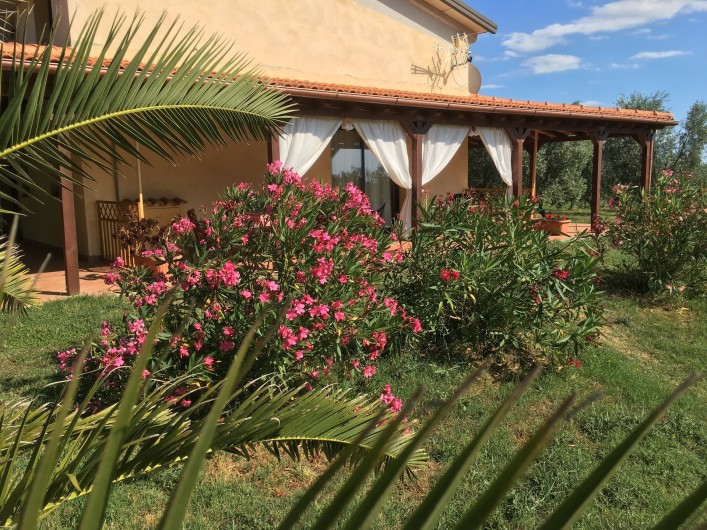 Location de vacances - Appartement à Cecina