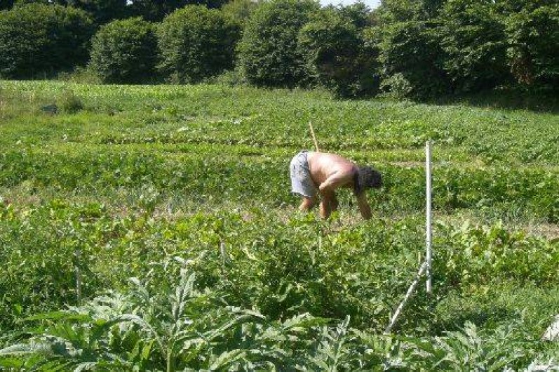Location de vacances - Gîte à Maël-Carhaix