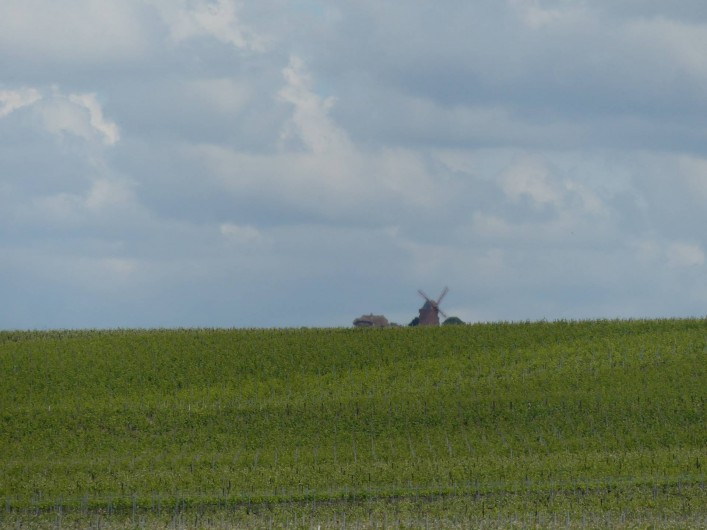 Location de vacances - Studio à Ludes