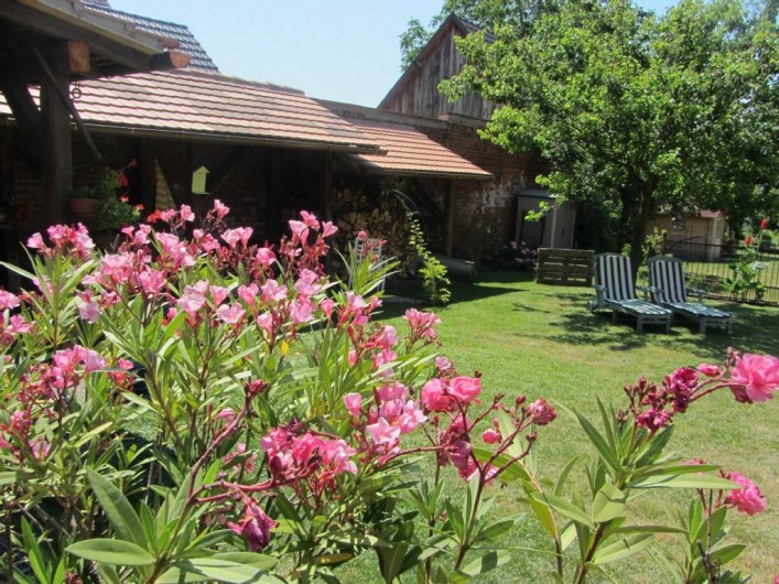 Location de vacances - Gîte à Brumath