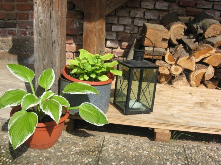 Location de vacances - Gîte à Brumath