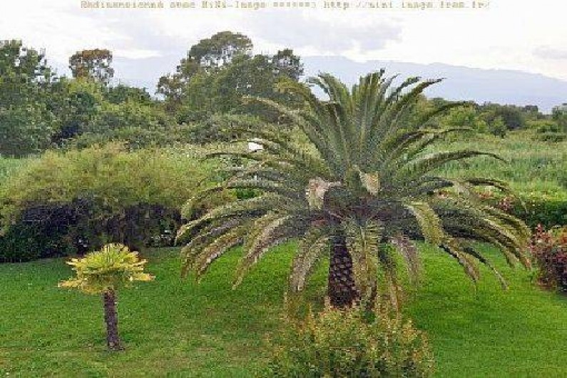 Location de vacances - Appartement à Ghisonaccia