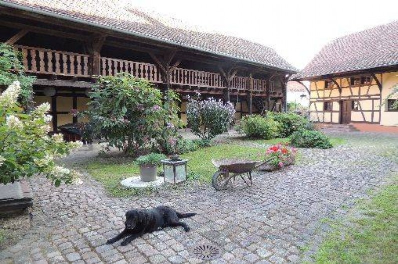 Location de vacances - Gîte à Nordhouse