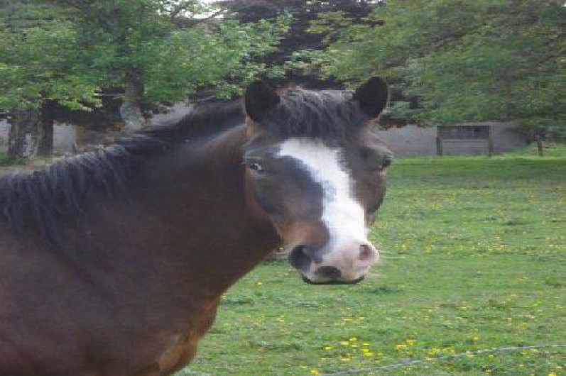 Location de vacances - Gîte à Esprels