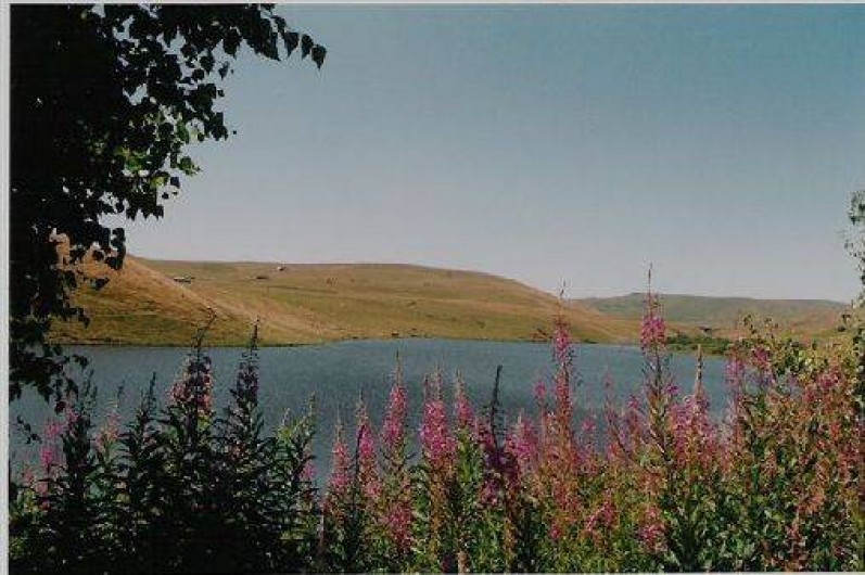 Location de vacances - Gîte à Massiac