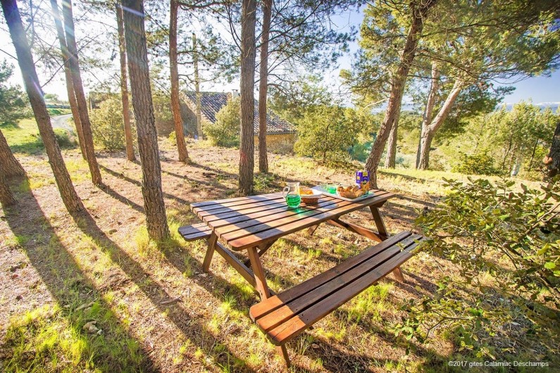 Location de vacances - Gîte à La Livinière - Goûter dans le bois de pin