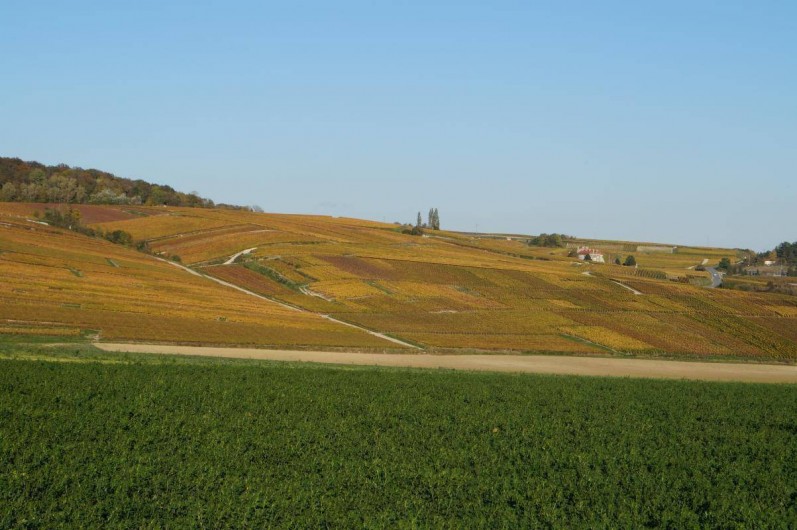 Location de vacances - Gîte à Cernay-lès-Reims