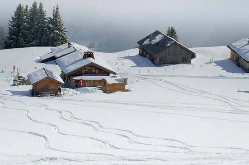 Location de vacances - Gîte à Saint-Nicolas de Véroce