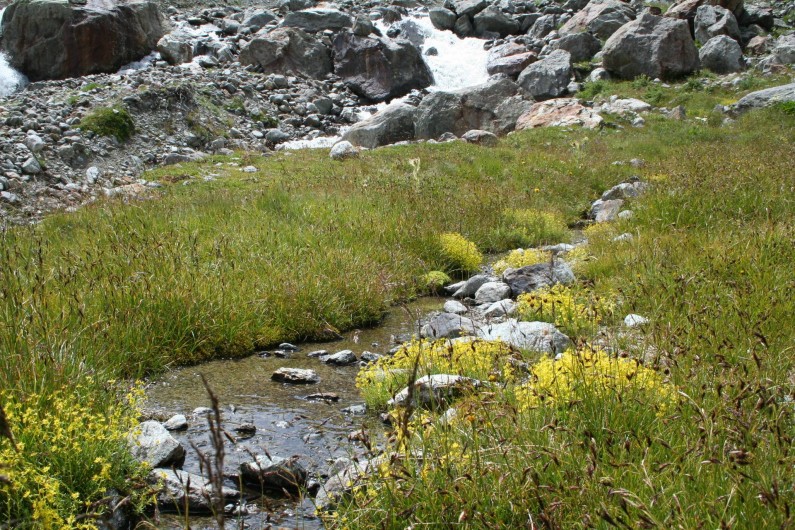 Location de vacances - Chalet à Mizoën - source du ferrant