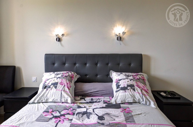 Location de vacances - Gîte à Pinay