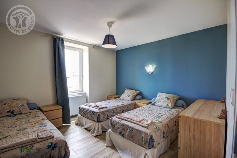 Location de vacances - Gîte à Pinay