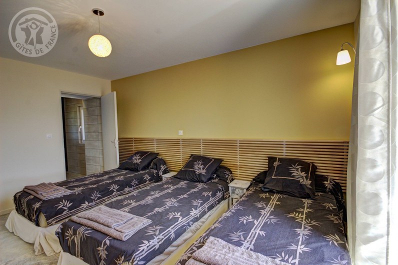 Location de vacances - Gîte à Pinay