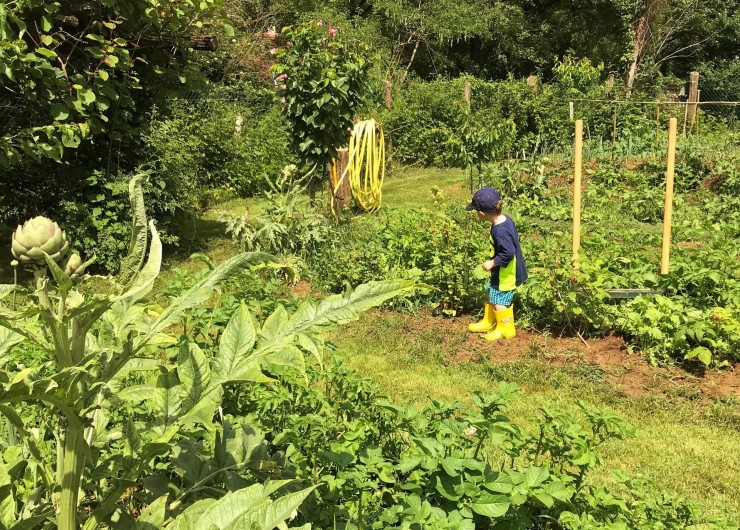 Location de vacances - Maison - Villa à Payrac - le potagé Bio du Colombé