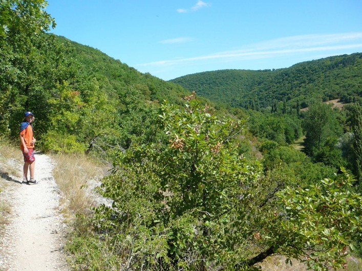 Location de vacances - Maison - Villa à Payrac - Sur le sentier de Compostelle en passant par Rocamadour