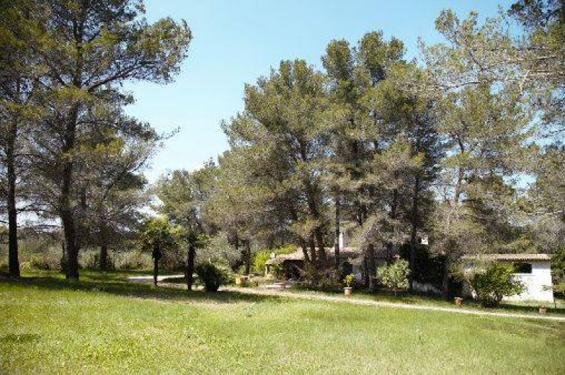 Location de vacances - Mas à Paradou - Grand prairie verdoyante côté Sud