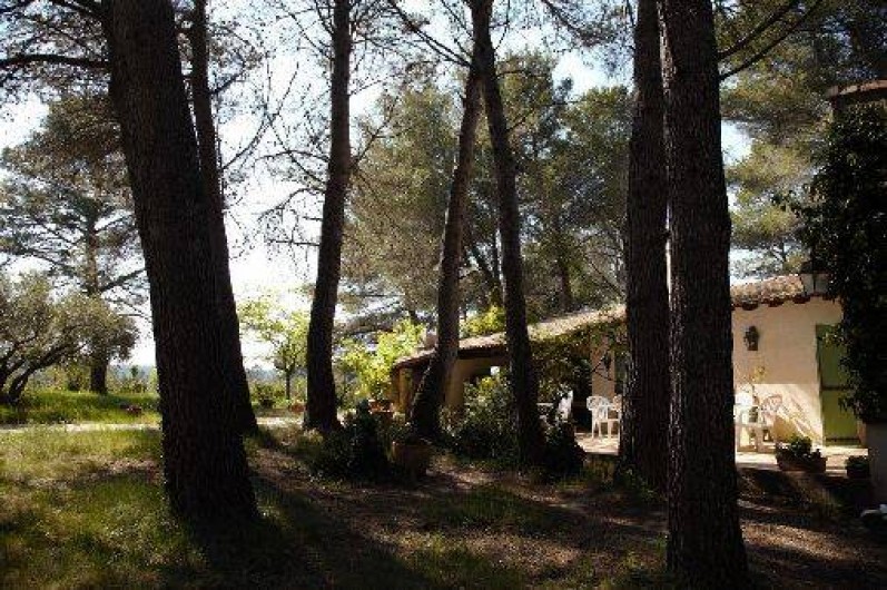 Location de vacances - Mas à Paradou