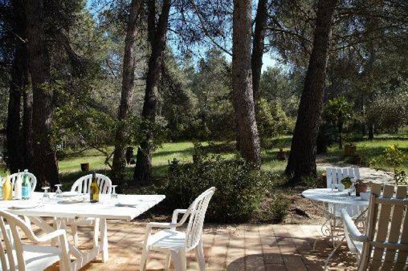 Location de vacances - Mas à Paradou - Terrasse côté Sud