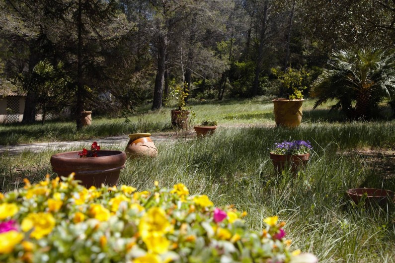 Location de vacances - Mas à Paradou